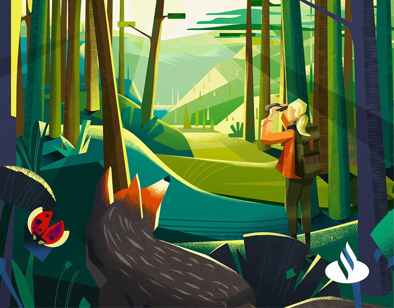 Wildberries запустила к Новому году функцию обмена праздничными QR-кодами